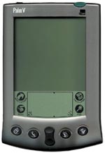 Palm