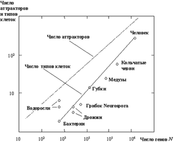 Рис.5