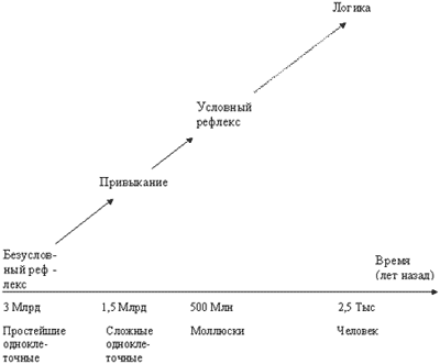 Рис.6