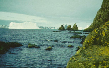 width=350