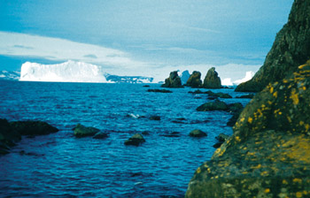 width=350