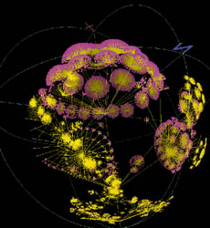 www.caida.org/TOOLS/visualization/walrus/