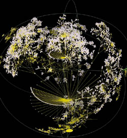 www.caida.org/TOOLS/visualization/walrus/