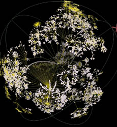 www.caida.org/TOOLS/visualization/walrus/