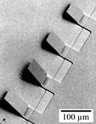 !micro.jpg