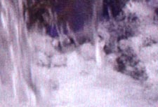 Hewlett-Packard PhotoSmart 1315