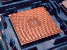 AMD [3]