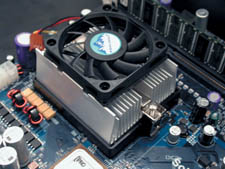 AMD [8]