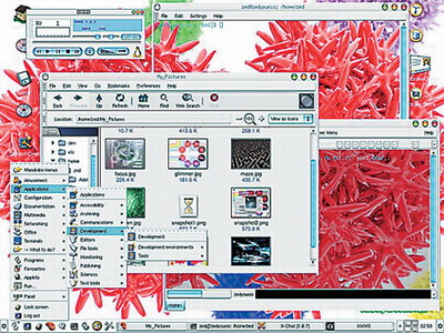 Рис. 2. Mandrake 8.2 под Gnome 1.4