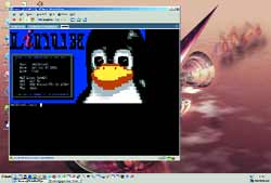 Linux под управлением Windows 2003 Server Enterprise Edition.
