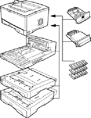 HP LaserJet 5100 dtn: модель для сборки.