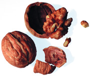 ������� ���� � Iuglans regia, �����, �� ��������������, ������������ ���� � ������������ ��������������